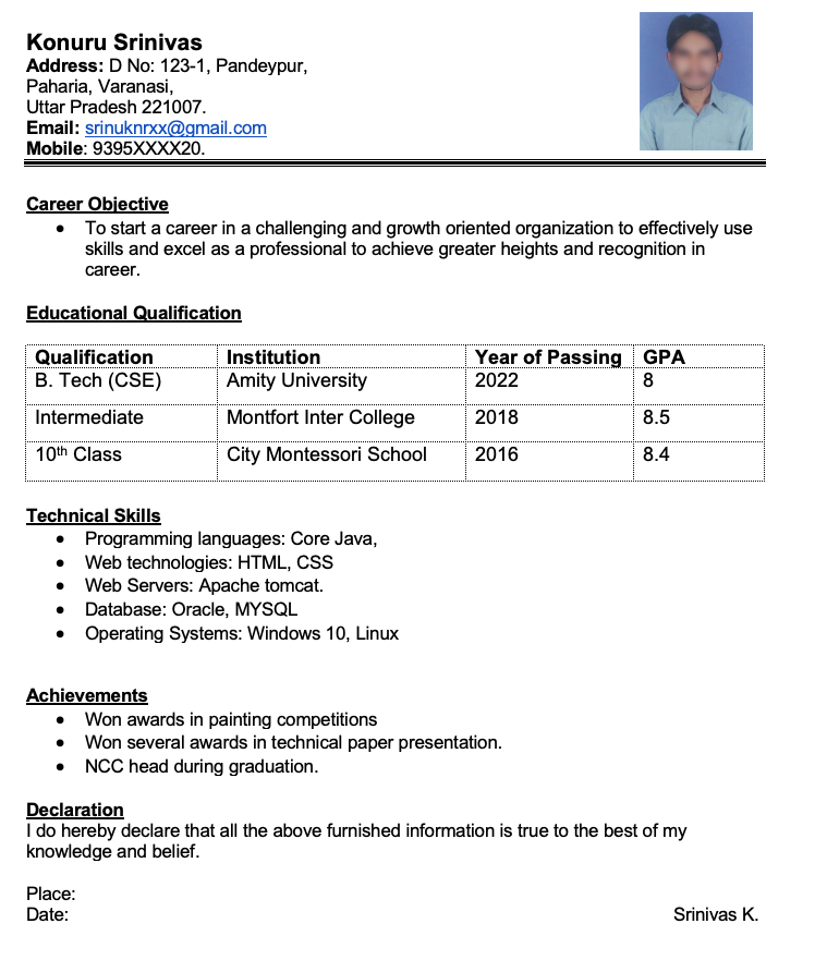 resume format for freshers pdf download free