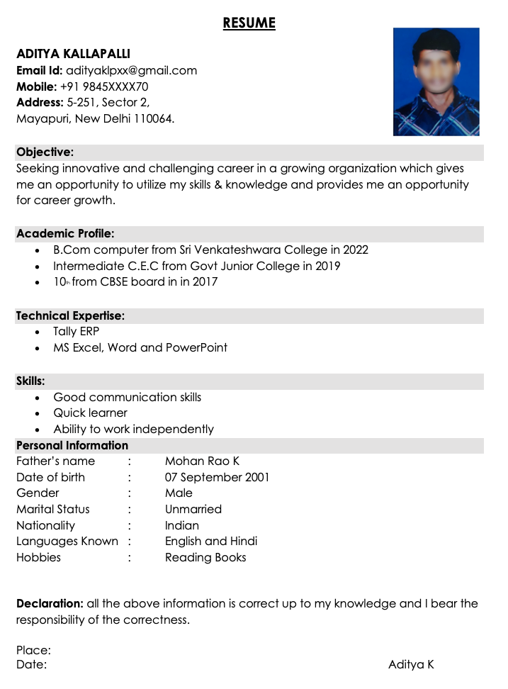 resume format for freshers pdf download free