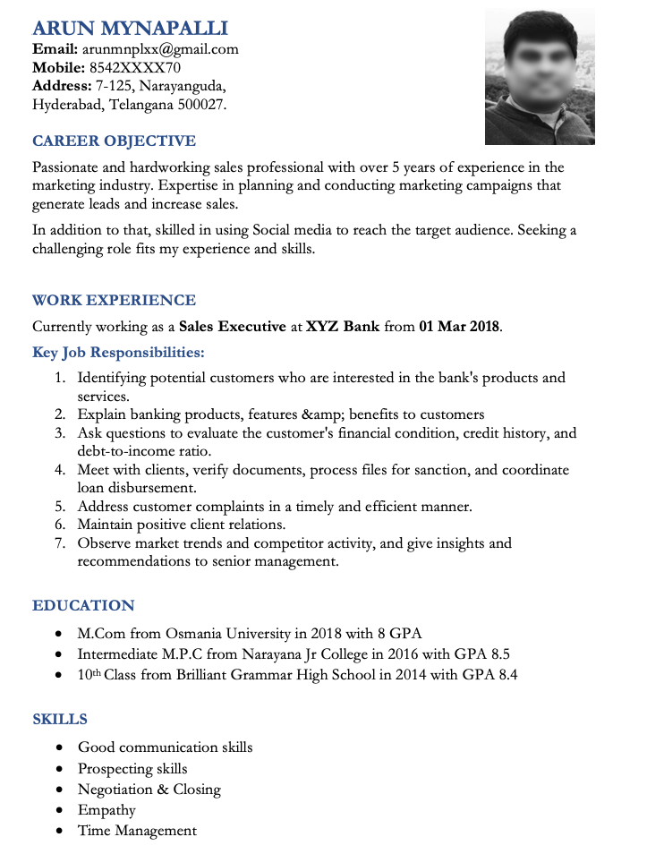 Sales Executive Resume in Word